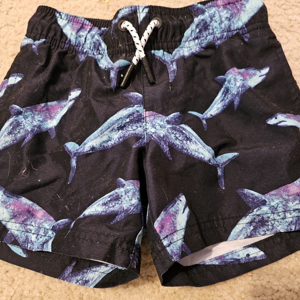 Kids Dolphin Swim Shorts - Black and Blue